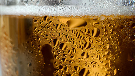 Similar image 21913042