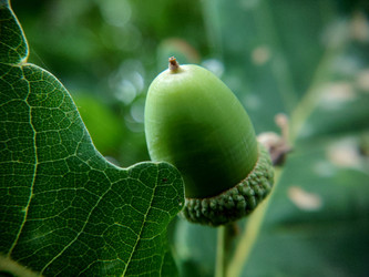 Similar image 21913049