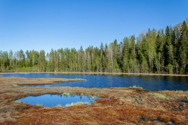 Similar image 21911801