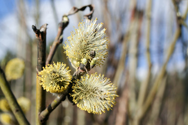 Similar image 21911802