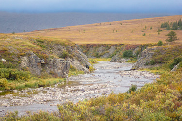 Similar image 21911807