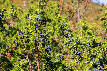 Similar image 21911640