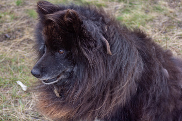 Similar image 21911644