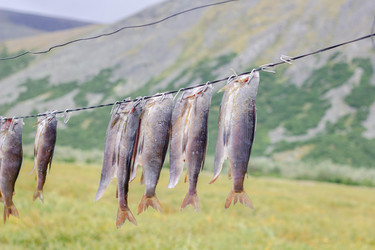 Similar image 21911707