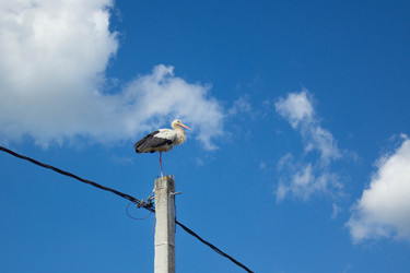 Similar image 21911709