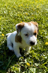 Similar image 21911649