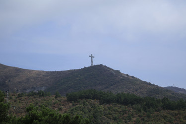 Similar image 21918228