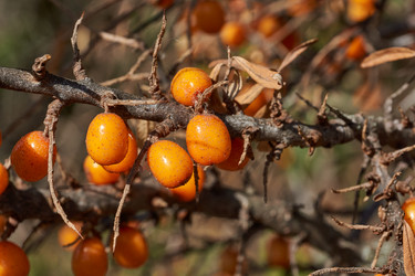 Similar image 21911810