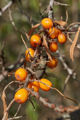 Similar image 21911811