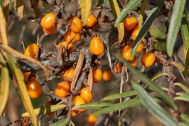 Similar image 21914235