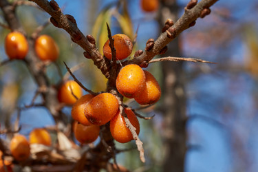 Similar image 21915846