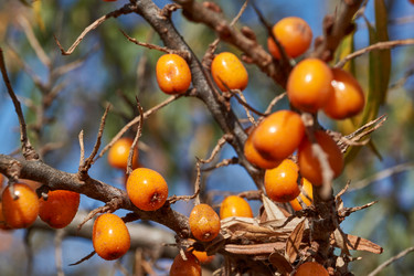 Similar image 21916422