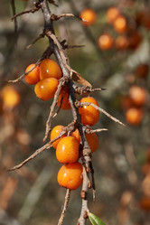 Similar image 21916423