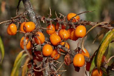 Similar image 21917116