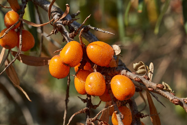 Similar image 21916424