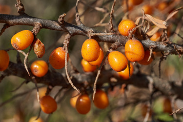 Similar image 21918229