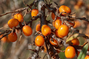 Similar image 21915847