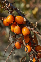 Similar image 21917117