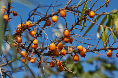 Similar image 21917118