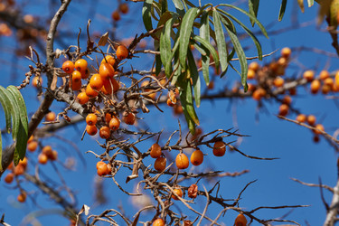 Similar image 21916425