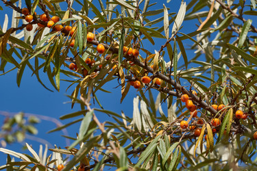 Similar image 21916426