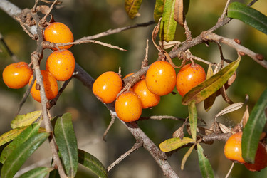 Similar image 21911814