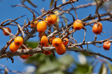 Similar image 21918231