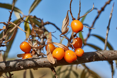 Similar image 21916427