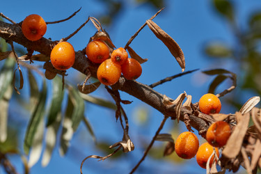 Similar image 21918232