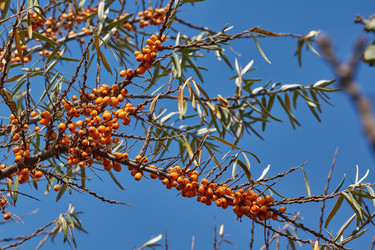 Similar image 21911815