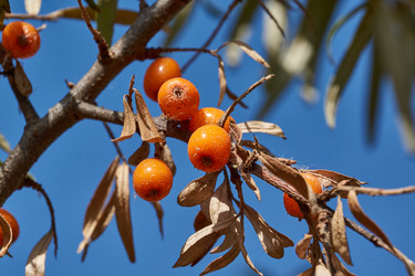 Similar image 21917119