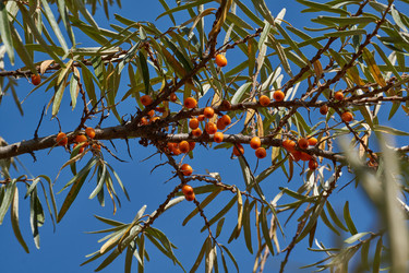 Similar image 21917120