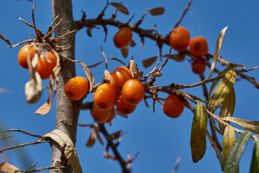 Similar image 21916428