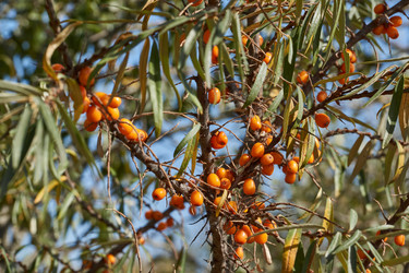 Similar image 21915848