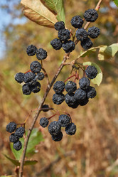 Similar image 21916430