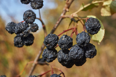 Similar image 21911816