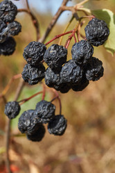 Similar image 21911817