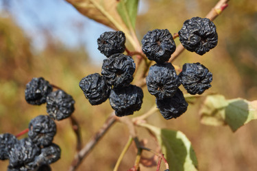 Similar image 21911818