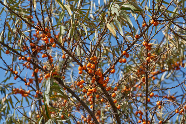 Similar image 21911819