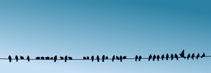 Similar image 21914373