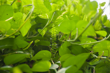 Similar image 21936728