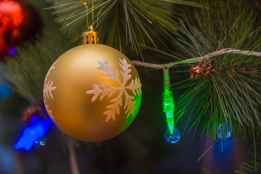 Similar image 21936737