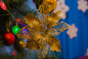 Similar image 21936738