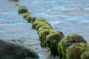 Similar image 21936740