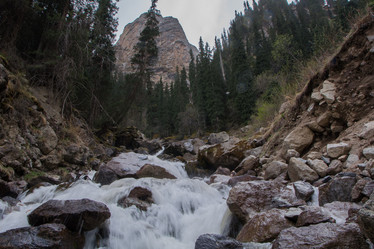 Similar image 21936748