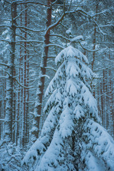 Similar image 21936751