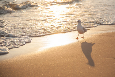 Similar image 21936756