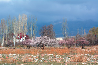 Similar image 21936757