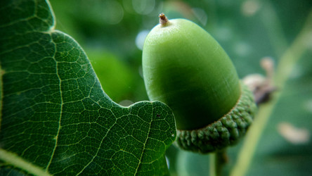 Similar image 21913560