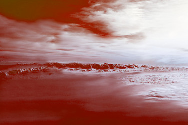 Similar image 21913060